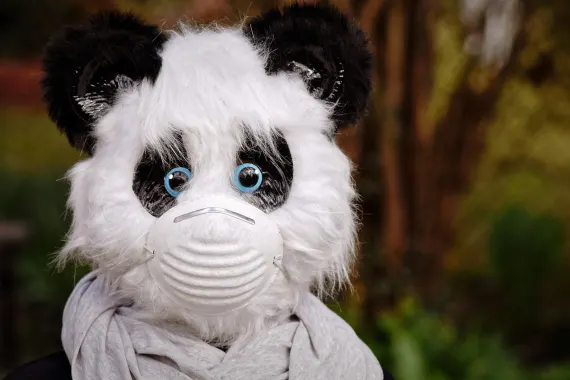 Kazino Cabaret Club Pagalba